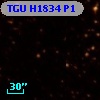 TGU H1834 P1