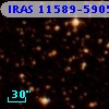 IRAS 11589-5905