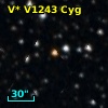 V* V1243 Cyg