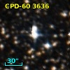 CPD-60  3636