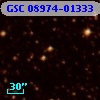 GSC 08974-01333