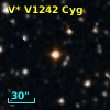 V* V1242 Cyg