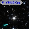 V* V1810 Cyg