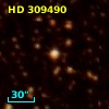 HD 309490