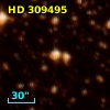 HD 309495