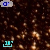 Cl* NGC 4103    SBW      42
