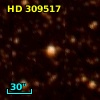 HD 309517