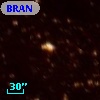 BRAN 384