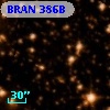 BRAN 386B