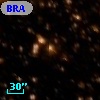 BRAN 386C