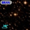 BRAN 387