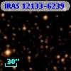 IRAS 12133-6239