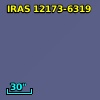 IRAS 12173-6319