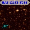 IRAS 12173-6218