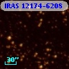 IRAS 12174-6208