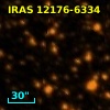IRAS 12176-6334