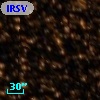 IRSV 1205-6310