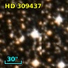 HD 309437