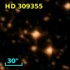 HD 309355