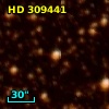 HD 309441