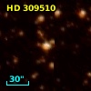 HD 309510