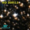 HD 309513
