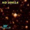 HD 309514
