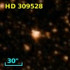 HD 309528