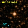 HD 311036