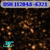 DSH J1204.8-6321