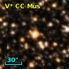 V* CC Mus