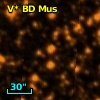 V* BD Mus