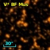 V* BF Mus