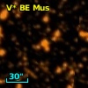 V* BE Mus