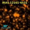 IRAS 12161-6531