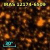 IRAS 12174-6509