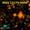 IRAS 12175-6604