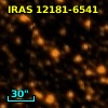 IRAS 12181-6541