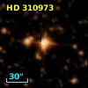 HD 310973