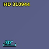 HD 310944