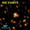 HD 310975
