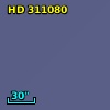 HD 311080