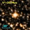 V* OS Mus