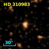 HD 310983