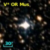 V* OR Mus