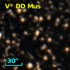 V* DD Mus