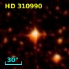 HD 310990