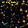 V* DQ Mus