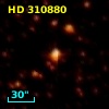 HD 310880