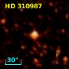 HD 310987